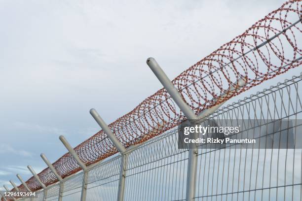 close-up of barbed wire - prison fence stock pictures, royalty-free photos & images