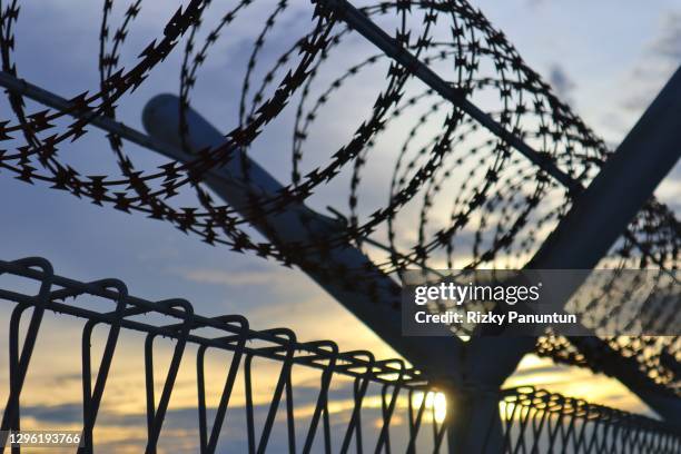 barbed wire against sunset sky background - prisoner of war stockfoto's en -beelden