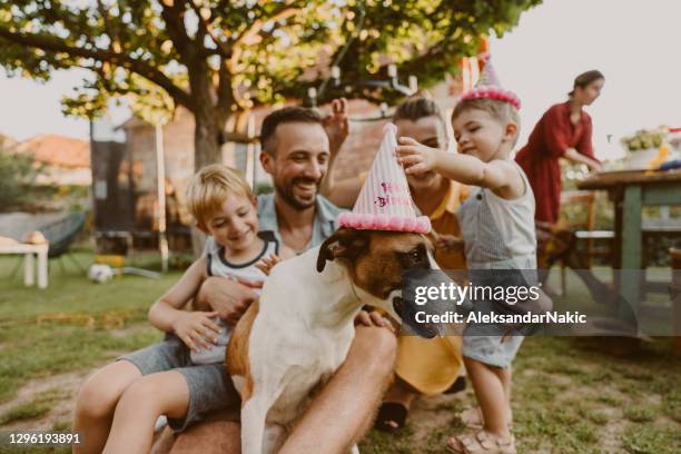 de hond viert verjaardag met zijn familie - young family outdoors stockfoto's en -beelden