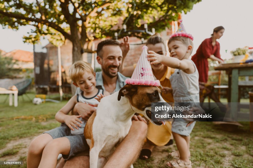 Dog celebrates birthday with his family