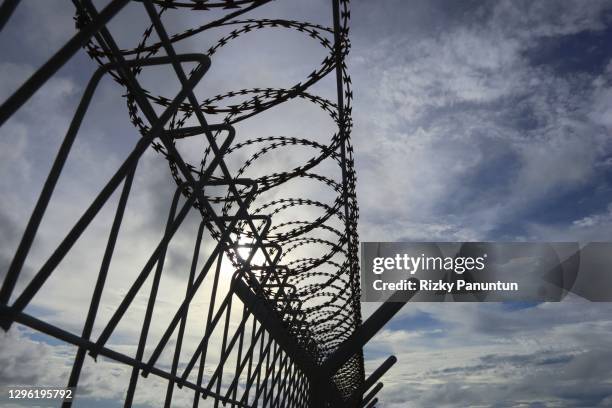 close-up of barbed wire - barbed wire fence stock pictures, royalty-free photos & images