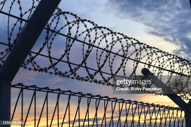 barbed wire against sunset sky background - prison escape stock pictures, royalty-free photos & images