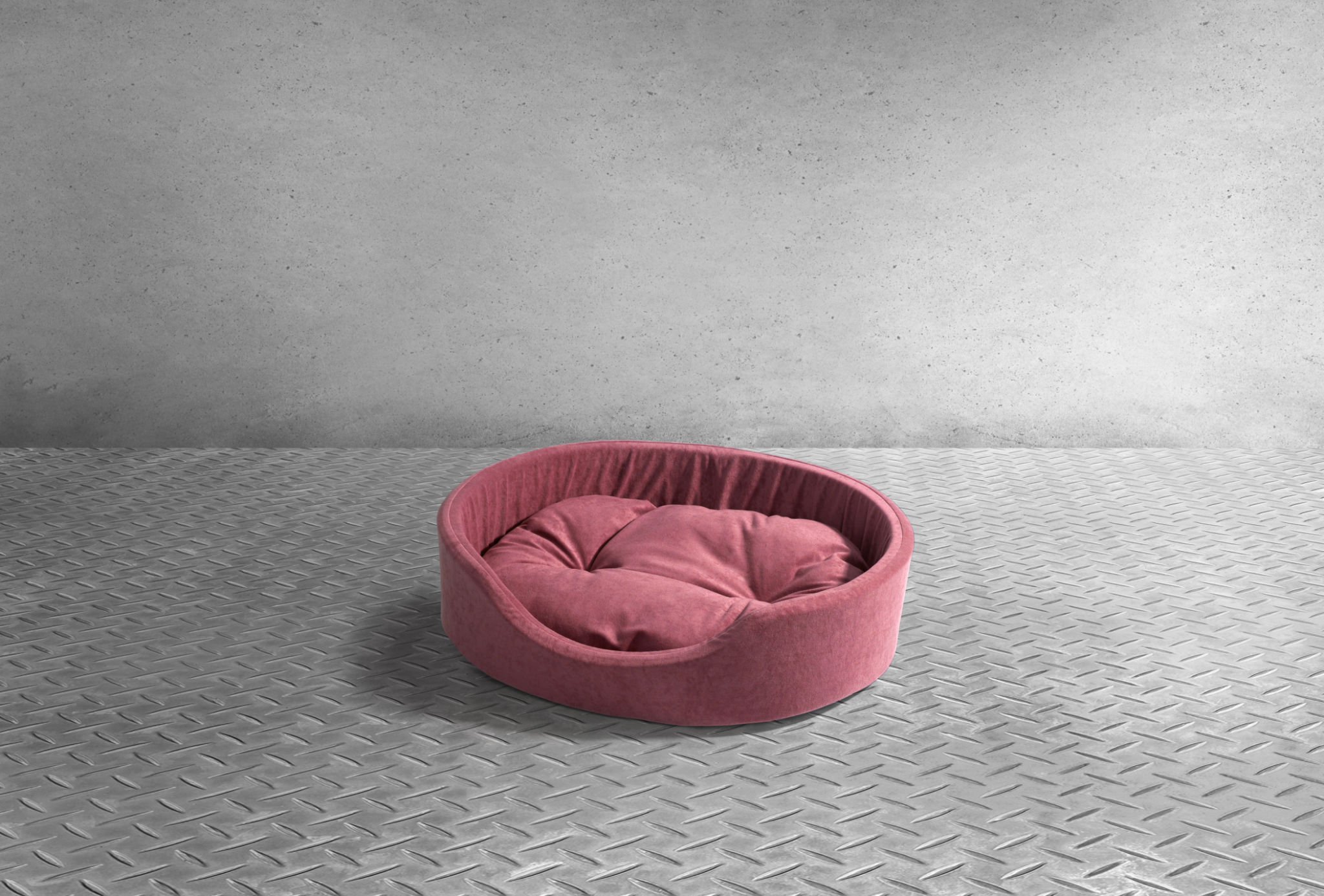 pet workshop