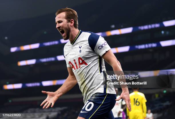 Harry Kane of Tottenham Hotspur celebrates after scoring the first goal during the Premier League match between Tottenham Hotspur and Fulham at...