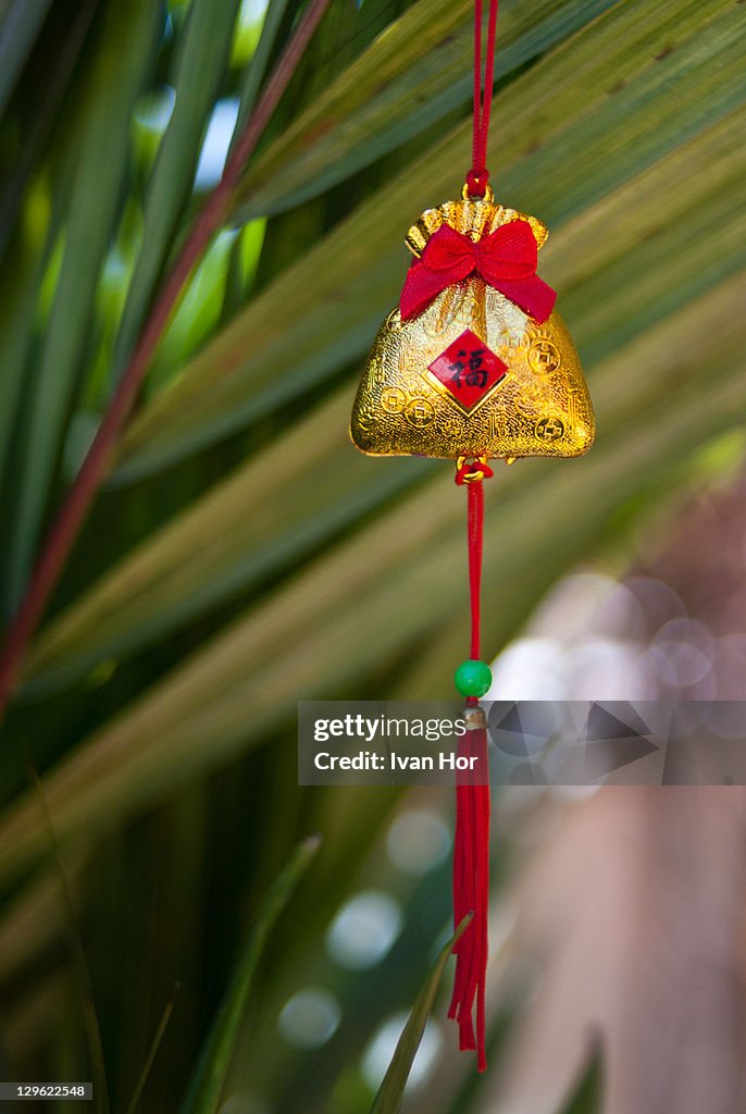 Chinese New Year Decor