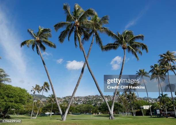 General view is seen as palm trees form a "W" on the 16th green during the Pro-Am Tournament prior to the Sony Open at Waialae Country Club on...