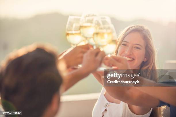 groep vrienden die wijn drinken en een vierings toost in openlucht maken. - witte wijn stockfoto's en -beelden