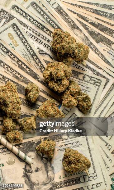 medical cannabis flower on $20 bills - drug trafficking stock pictures, royalty-free photos & images