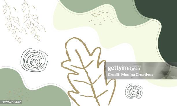modern abstract floral art vector leaves background. hand draw leaves and line art background for social media, cover, interior decor. - field guide book vector stock illustrations