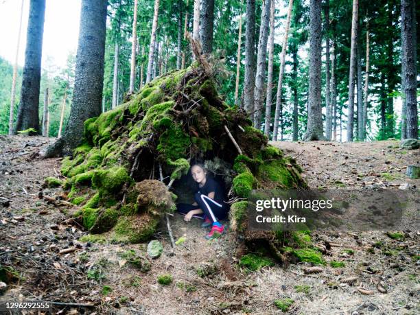 girl sitting in a den in the forest, poland - cabane structure bâtie photos et images de collection
