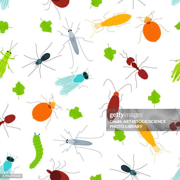 pests, conceptual illustration - tick animal stock-grafiken, -clipart, -cartoons und -symbole