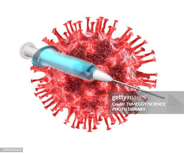 coronavirus vaccine, conceptual illustration - spike protein stock illustrations