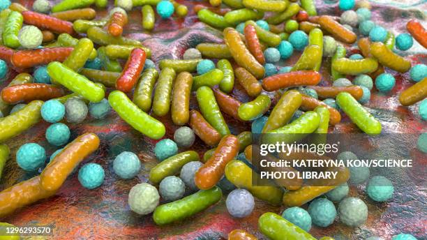 bacteria, illustration - bacteria 3d stock illustrations