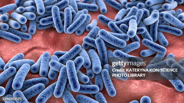 bacteria, illustration - lactobacillus stock illustrations