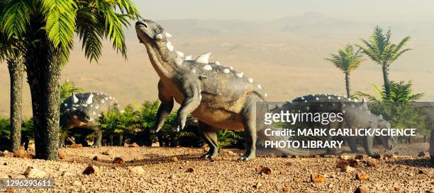 artwork of the dinosaur ankylosaurus - ankylosaurus stock illustrations