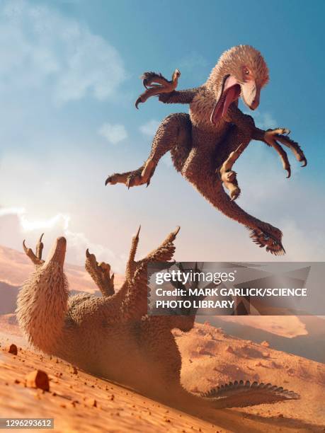 artwork of raptor dinosaurs fighting - dromaeosauridae 幅插畫檔、美工圖案、卡通及圖標