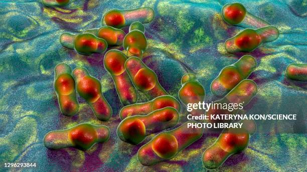 clostridium bacteria, illustration - gas gangrene stock illustrations