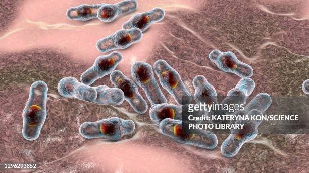 clostridium bacteria, illustration - ウェルシュ菌点のイラスト��素材／クリップアート素材／マンガ素材／アイコン素材