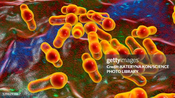 stockillustraties, clipart, cartoons en iconen met clostridium bacteria, illustration - clostridium botulinum