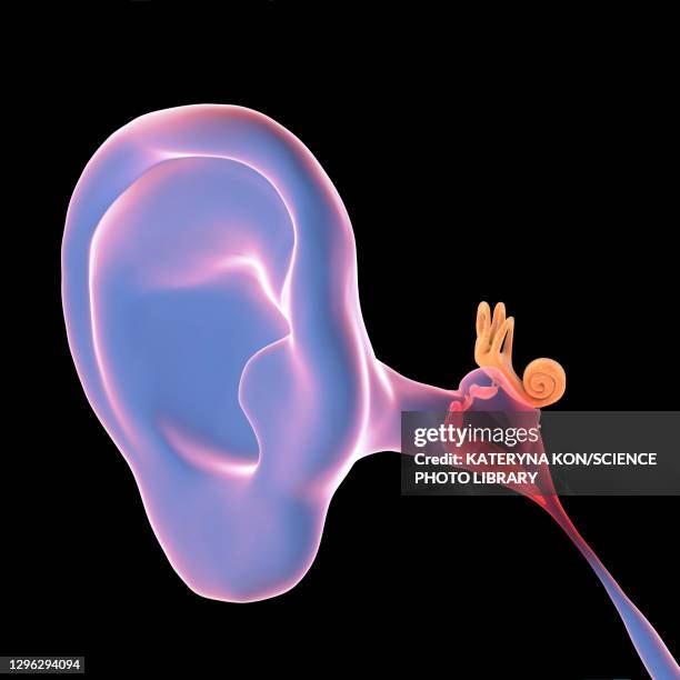 otitis media ear infection, illustration - ear drum stock illustrations