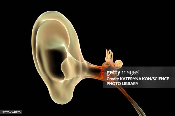 otitis media ear infection, illustration - ear drum stock illustrations