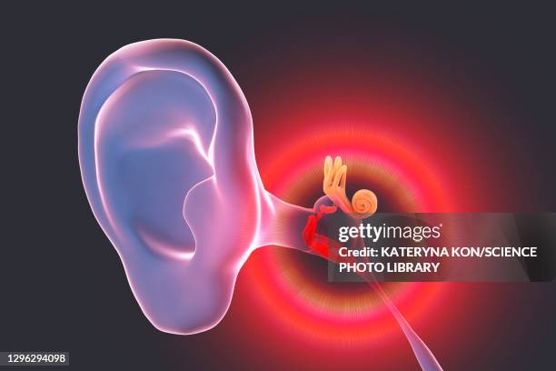 otitis media ear infection, illustration - inner ear stock illustrations