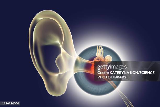 otitis media ear infection, illustration - inner ear stock illustrations