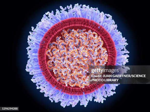 stockillustraties, clipart, cartoons en iconen met covid-19 rna vaccine, illustration - pandemia