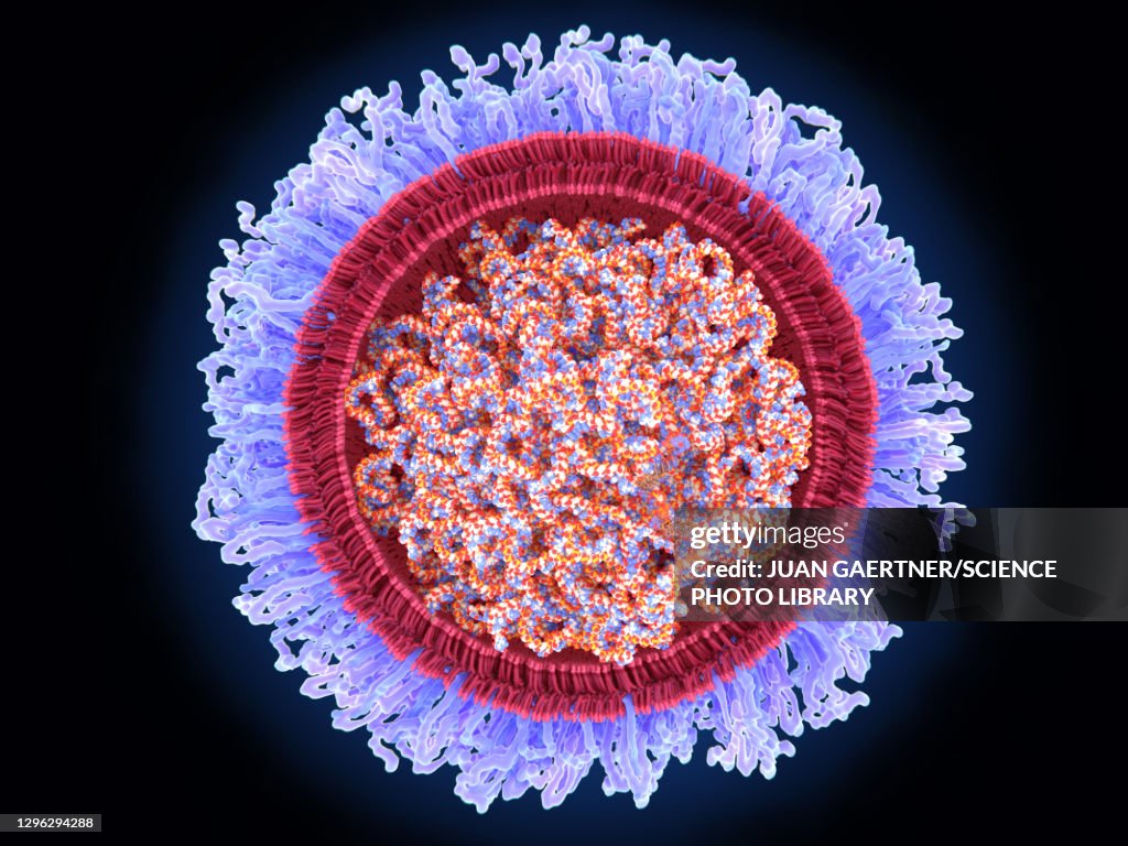 Covid-19 RNA vaccine, illustration