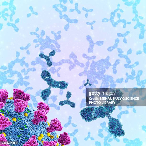 antibodies and covid-19 coronavirus, illustration - antigen stock illustrations