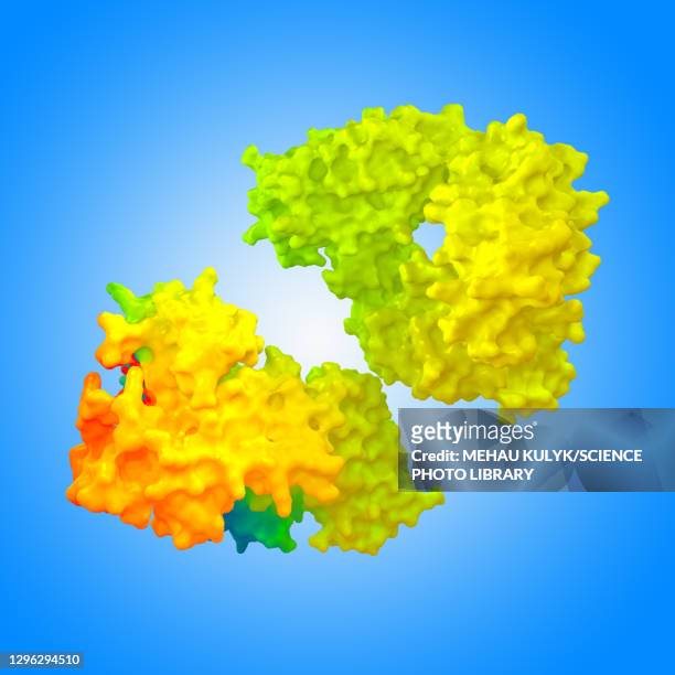 sars antibody, illustration - spike protein stock illustrations