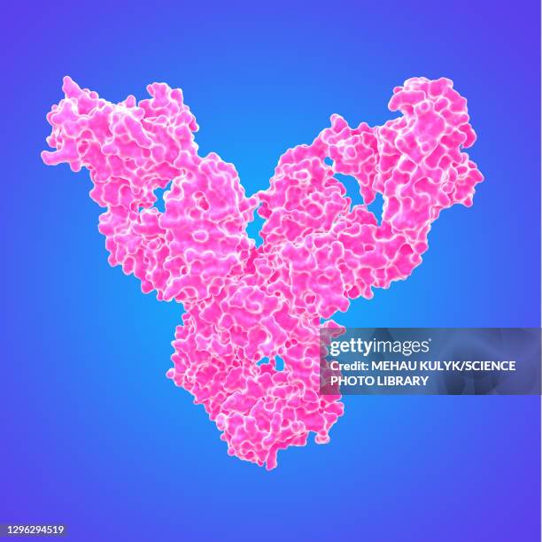 rheumatoid arthritis autoantibody, illustration - autoimmune disease 幅插畫檔、美工圖案、卡通及圖標