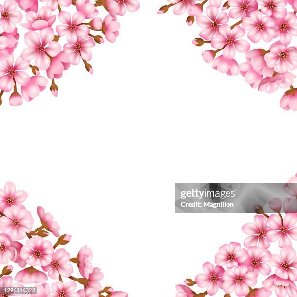sakura blossom vector background - japan-background stock illustrations