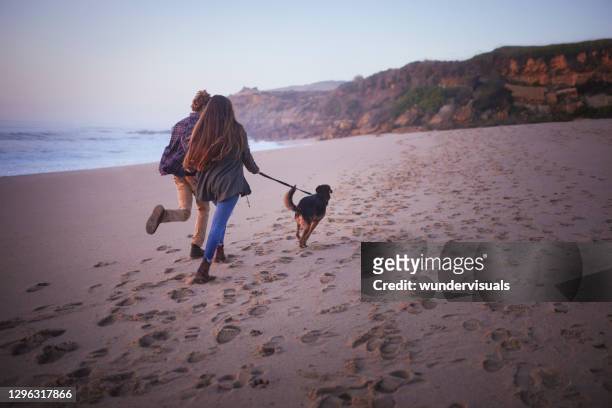 junges paar läuft mit hund am strand bei sonnenuntergang - romantic couple walking winter beach stock-fotos und bilder