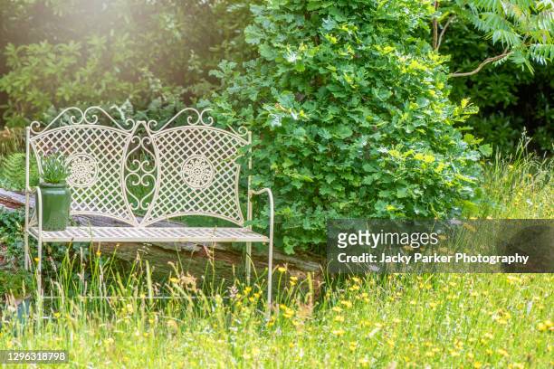 white wrought iron chair in an english cottage garden with soft sunshine and wildflowers - buttercup stock pictures, royalty-free photos & images