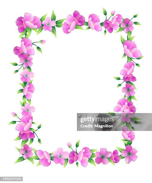 sakura blossom rectangular vector - cherry blossoms falling stock illustrations