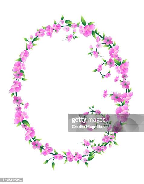 sakura blossom circle frame vector - cherry blossoms falling stock illustrations