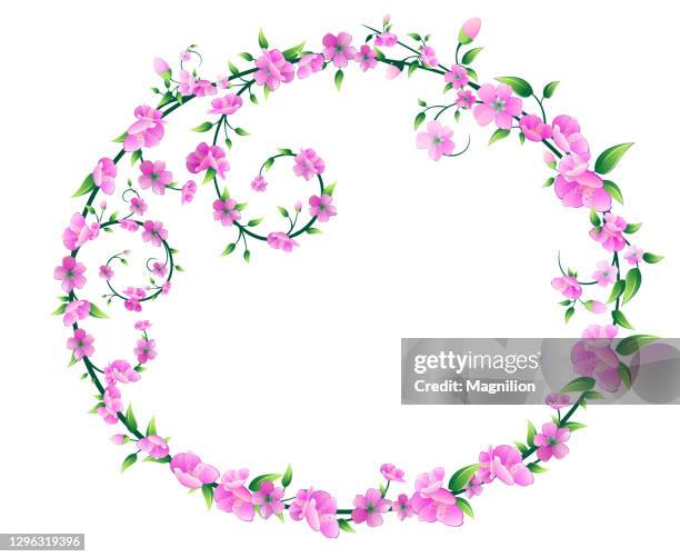 sakura blossom circle frame vector - cherry blossoms falling stock illustrations