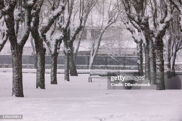 landscape of trees and a snow covered bench while a snowfall occurs - tree trunk stock pictures, royalty-free photos & images