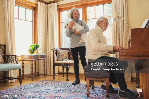 woman holding dog watching man play the piano - dog listening stock pictures, royalty-free photos & images