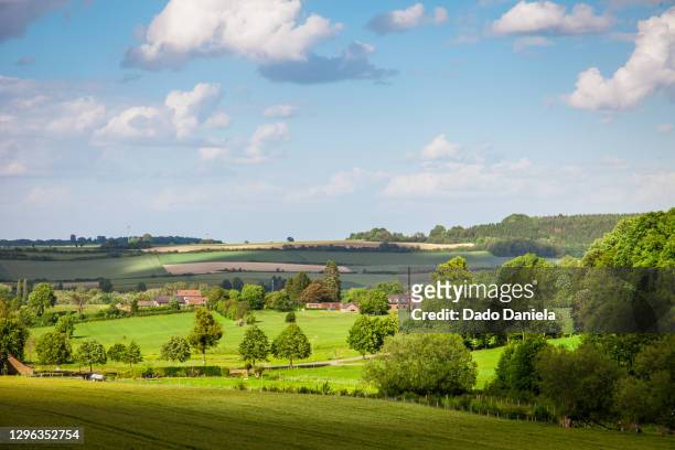 green fields of heuvelland - limburgo países bajos fotografías e imágenes de stock