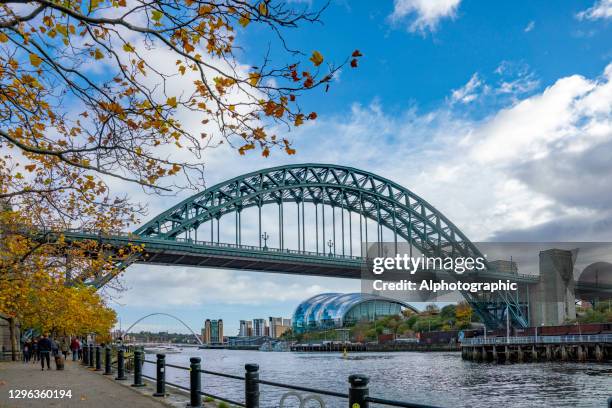 Famous Rigid Frame Bridge 54 Rigid Frame Bridge Stock Photos, High-Res Pictures, and Images ...