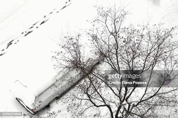 winter background with bare tree and snow covered car - bare footprints stock-fotos und bilder