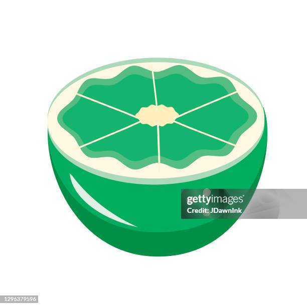 lime slice fruit isolated on white - lime slice isolated stock illustrations