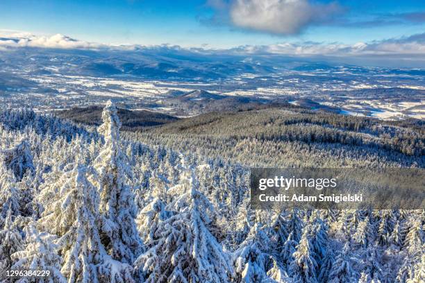 schöne verschneite winterberglandschaft (hdri) - riesengebirge stock-fotos und bilder