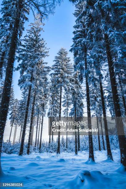 schöne verschneite winterberglandschaft (hdri) - riesengebirge stock-fotos und bilder