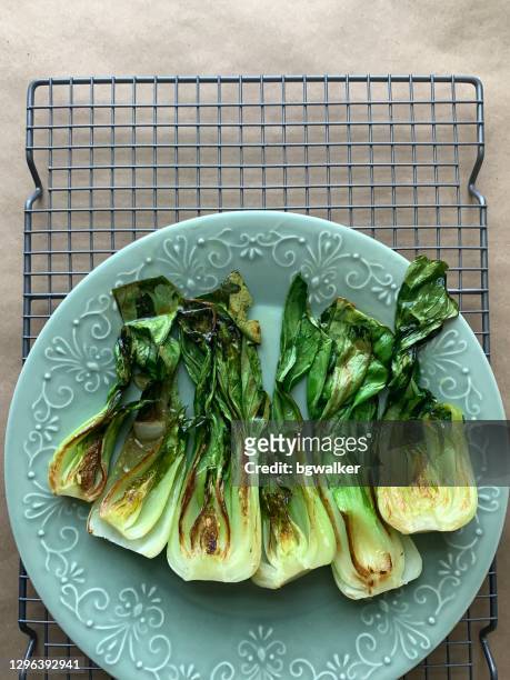 charred baby bok choy - chinese cabbage imagens e fotografias de stock