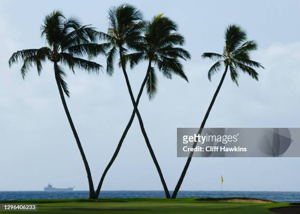 General view of the "W" palm trees on the 16th green are seen during the first round of the Sony Open in Hawaii at the Waialae Country Club on...