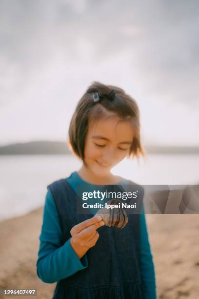 curious young girl holding giant hermit crab on beach, japan - hermit crab bildbanksfoton och bilder