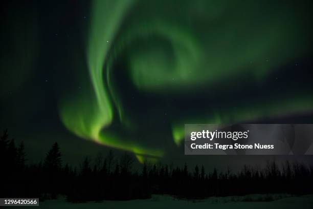 the northern lights - fort mcmurray stock pictures, royalty-free photos & images
